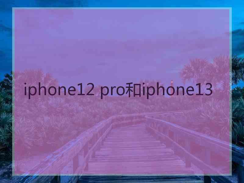 iphone12 pro和iphone13