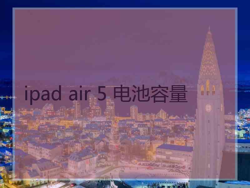 ipad air 5 电池容量