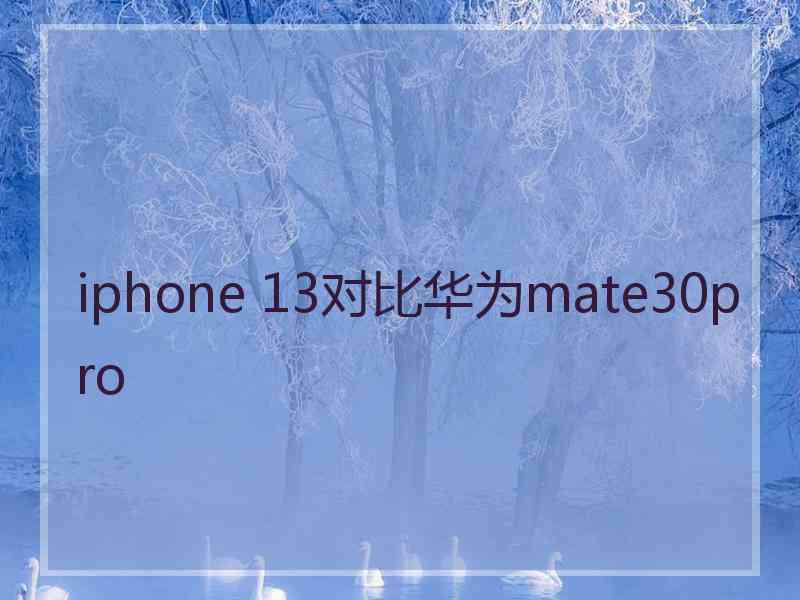 iphone 13对比华为mate30pro