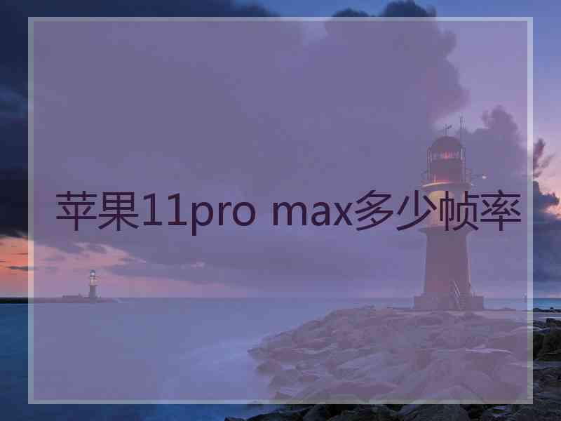 苹果11pro max多少帧率