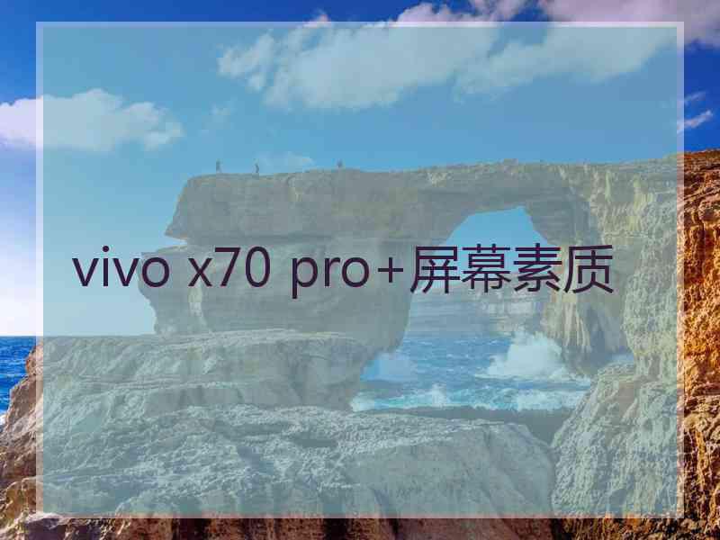 vivo x70 pro+屏幕素质