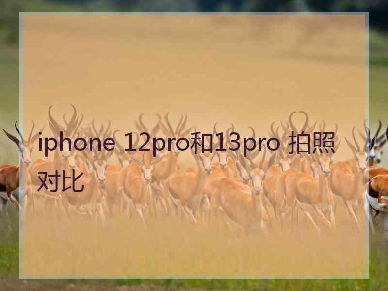 iphone 12pro和13pro 拍照对比