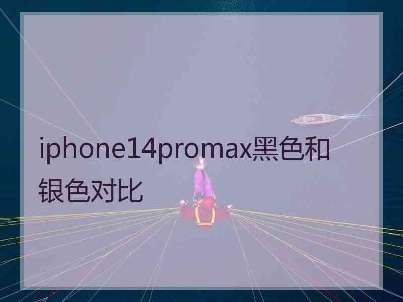 iphone14promax黑色和银色对比