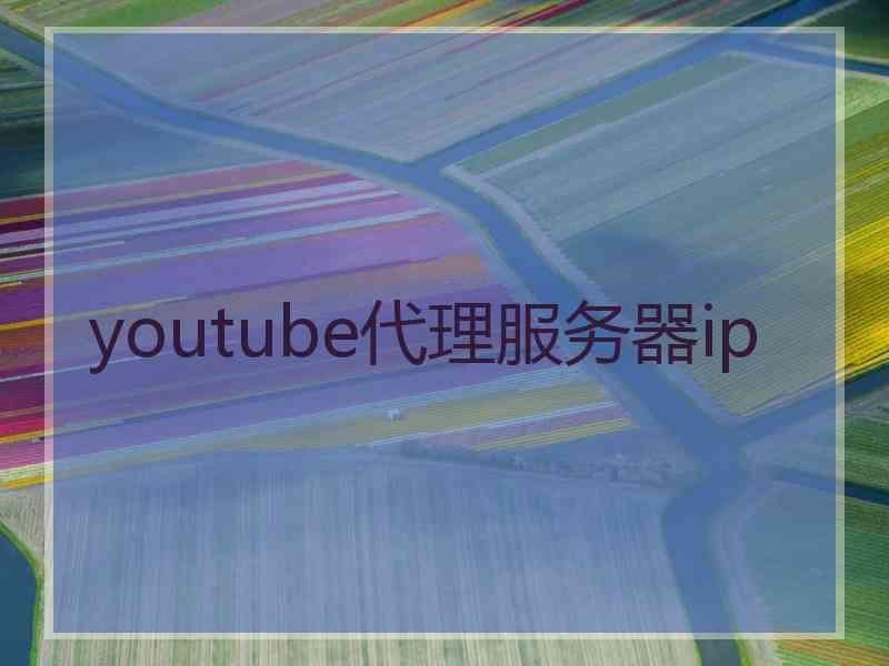 youtube代理服务器ip