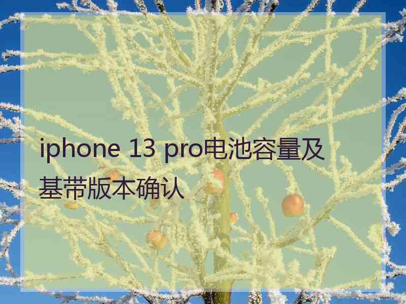 iphone 13 pro电池容量及基带版本确认