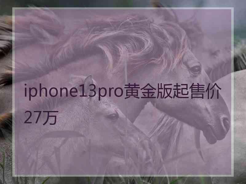 iphone13pro黄金版起售价27万