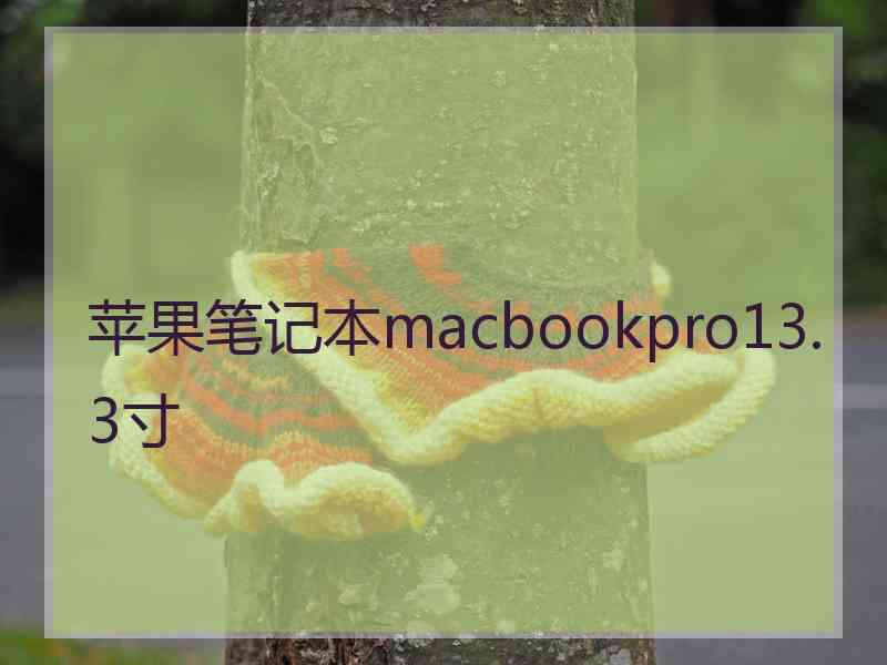 苹果笔记本macbookpro13.3寸