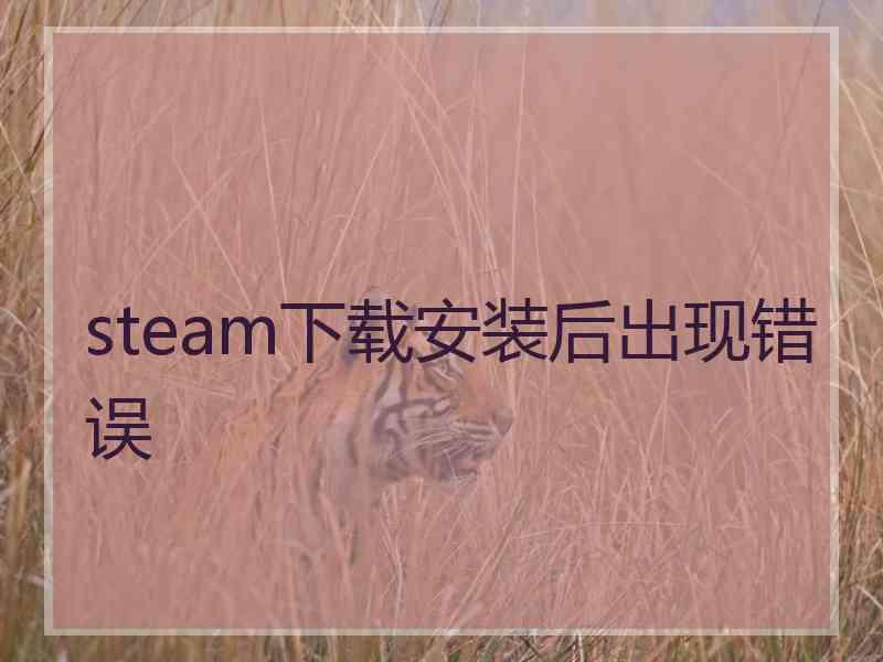 steam下载安装后出现错误