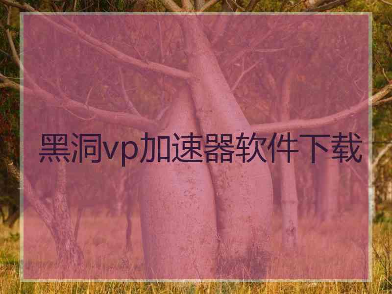 黑洞vp加速器软件下载