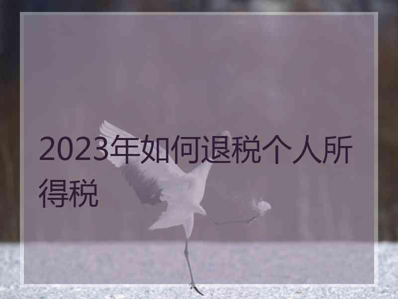 2023年如何退税个人所得税