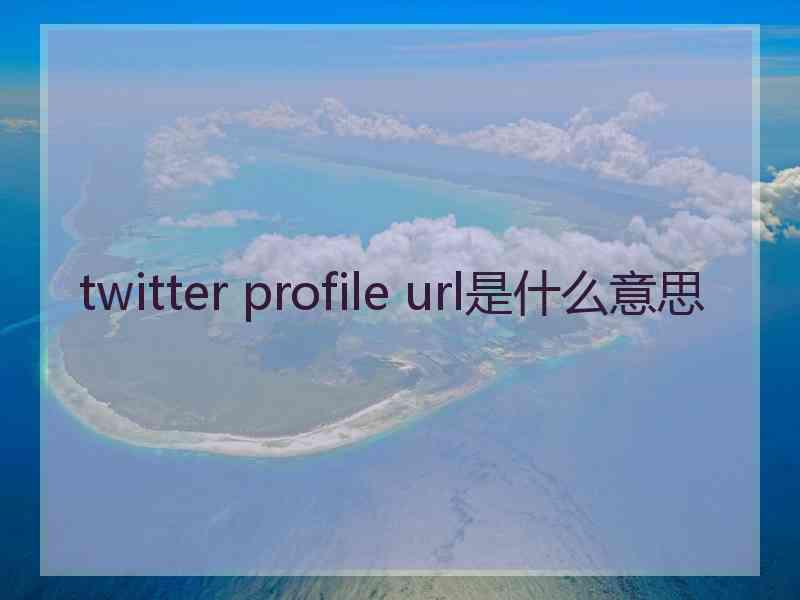 twitter profile url是什么意思