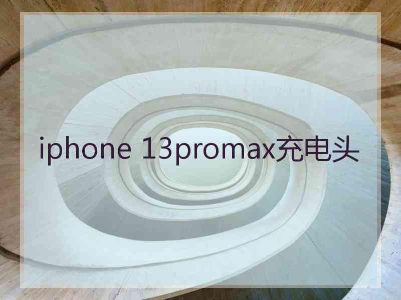 iphone 13promax充电头