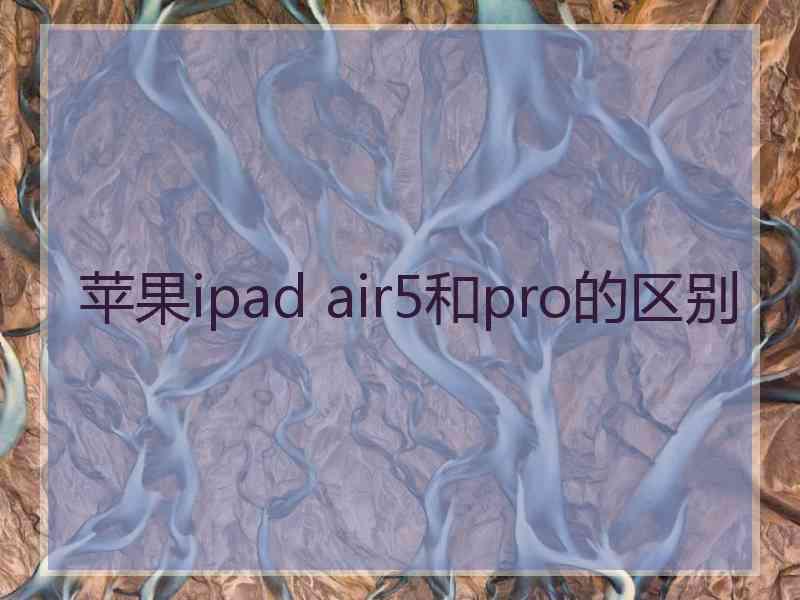 苹果ipad air5和pro的区别