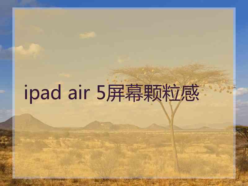 ipad air 5屏幕颗粒感