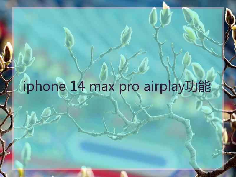 iphone 14 max pro airplay功能