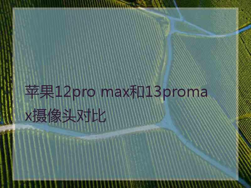 苹果12pro max和13promax摄像头对比