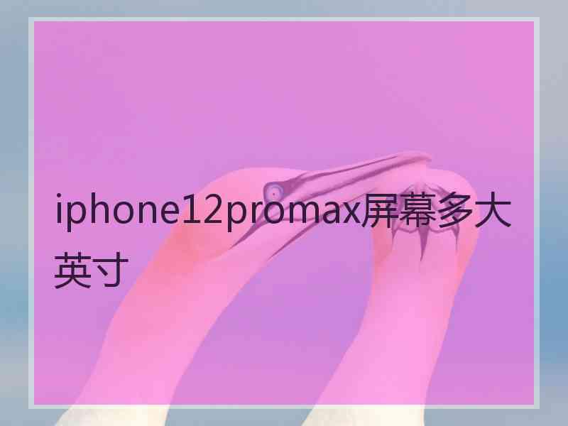 iphone12promax屏幕多大英寸