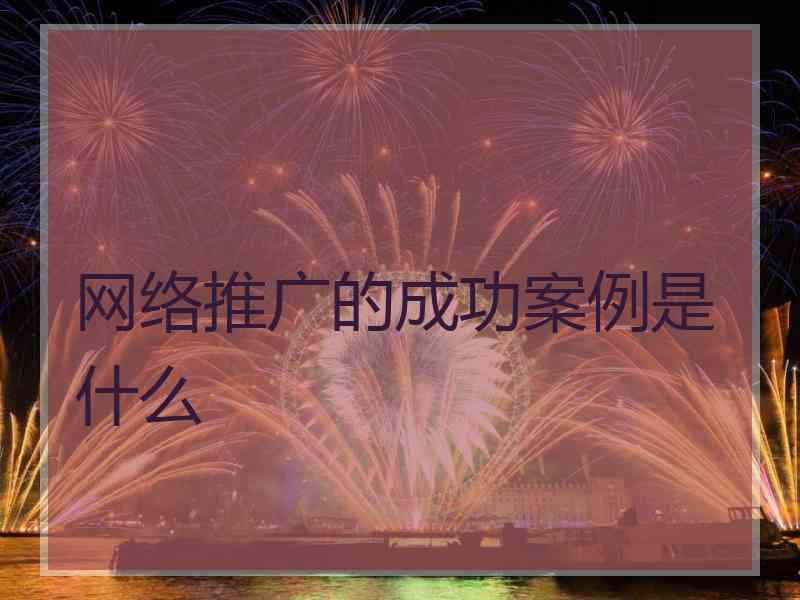 网络推广的成功案例是什么