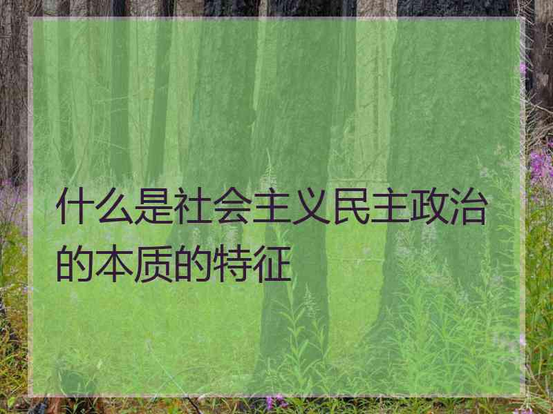 什么是社会主义民主政治的本质的特征