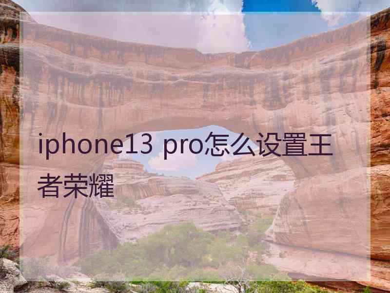 iphone13 pro怎么设置王者荣耀