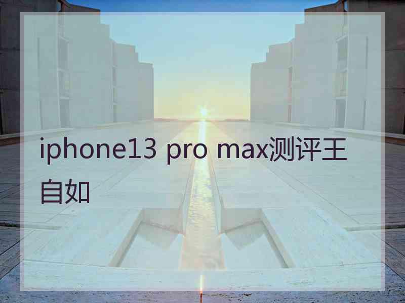 iphone13 pro max测评王自如