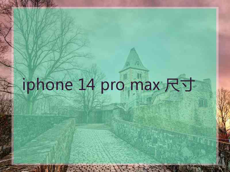 iphone 14 pro max 尺寸