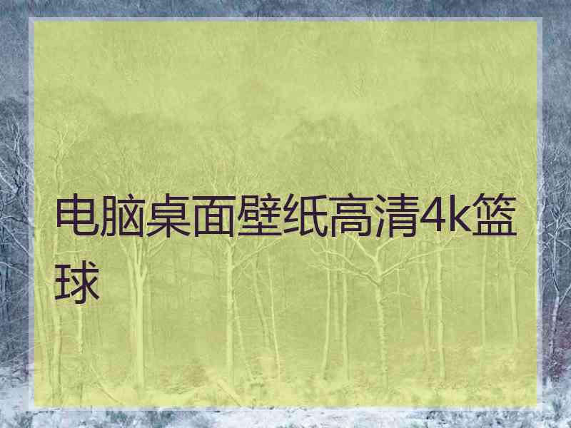 电脑桌面壁纸高清4k篮球