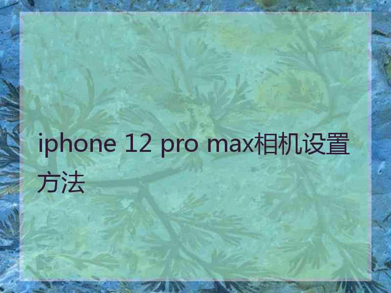 iphone 12 pro max相机设置方法