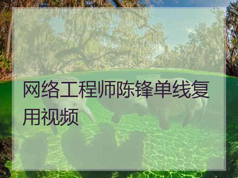 网络工程师陈锋单线复用视频