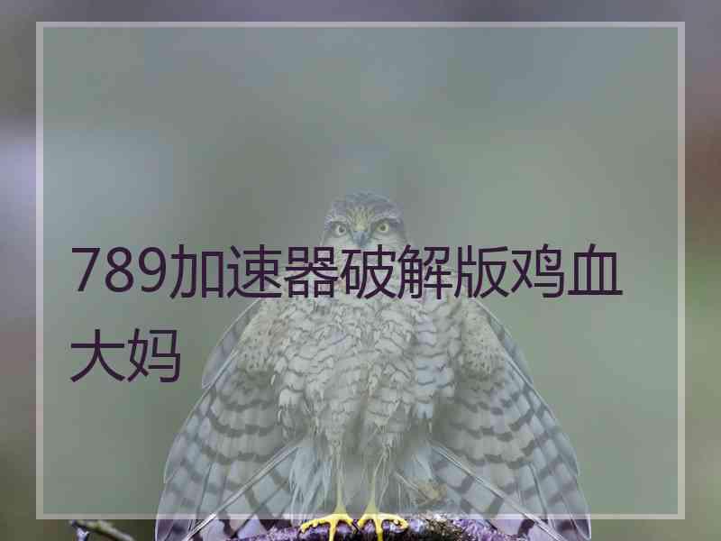 789加速器破解版鸡血大妈