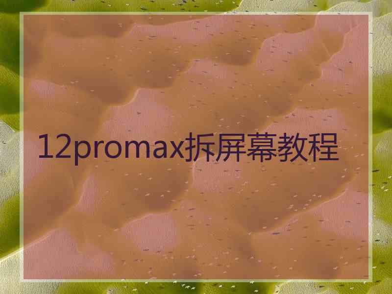 12promax拆屏幕教程