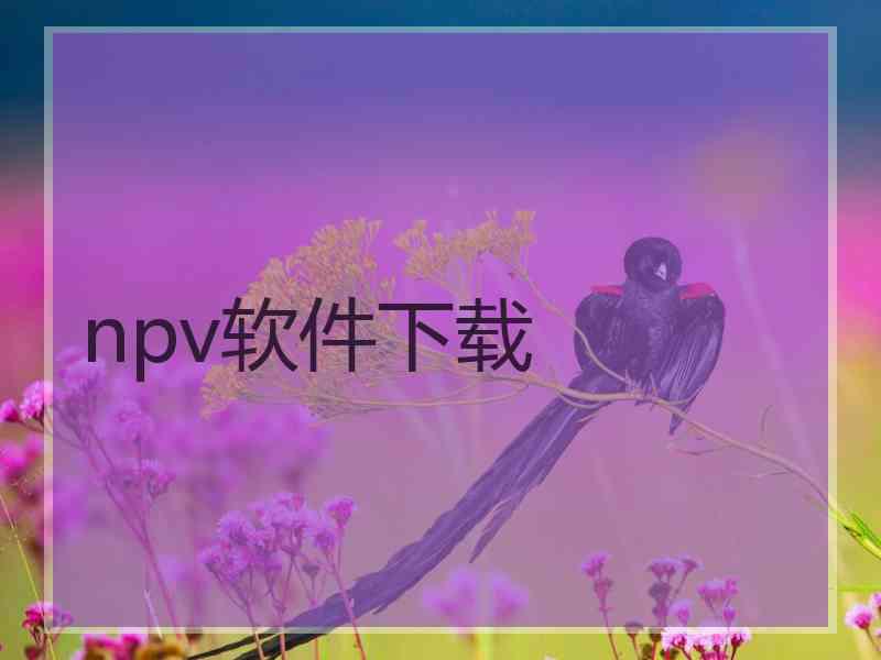 npv软件下载