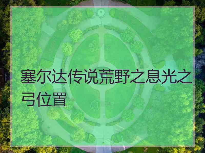 塞尔达传说荒野之息光之弓位置