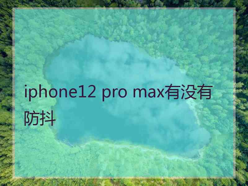 iphone12 pro max有没有防抖