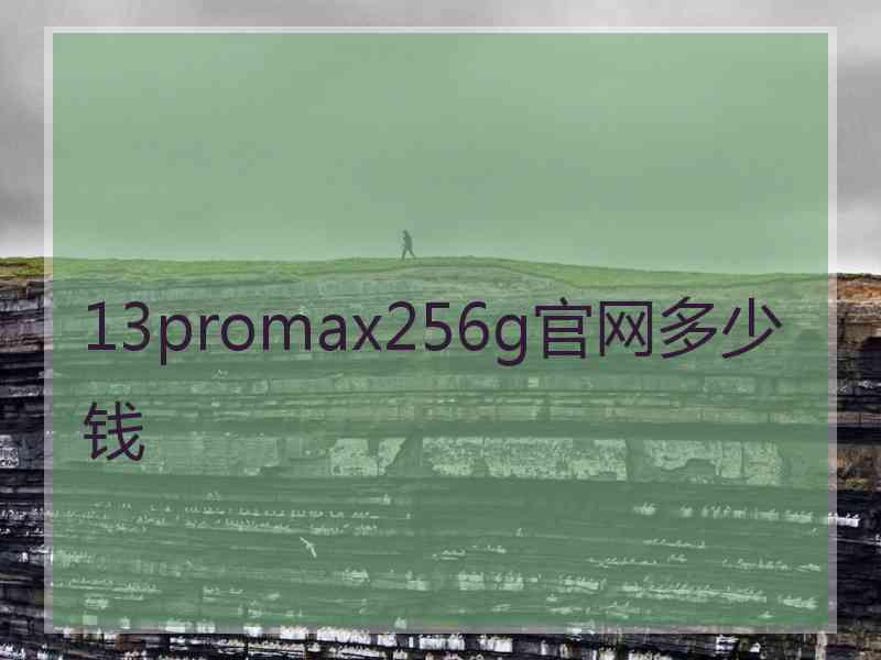 13promax256g官网多少钱