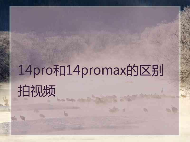 14pro和14promax的区别拍视频