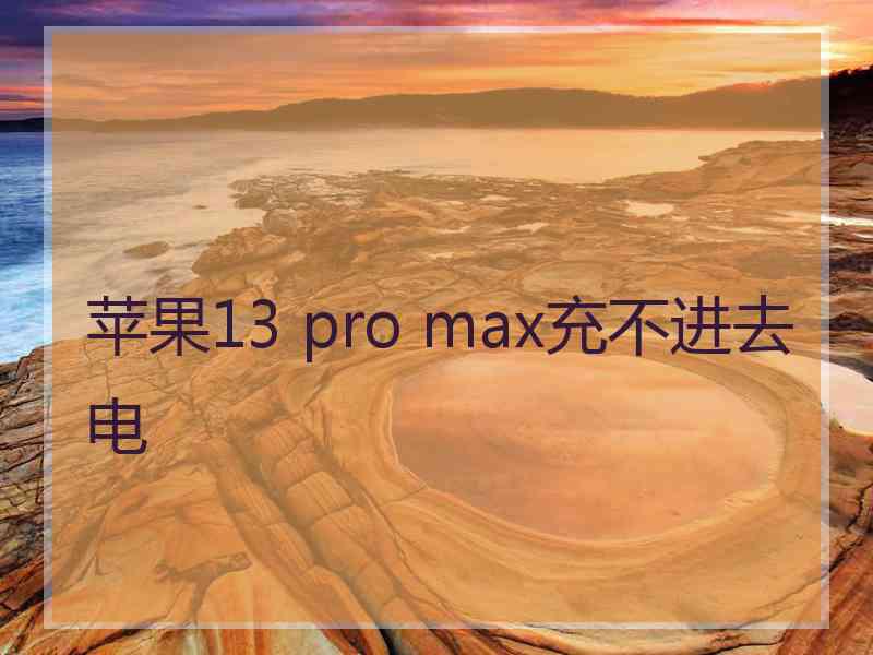 苹果13 pro max充不进去电