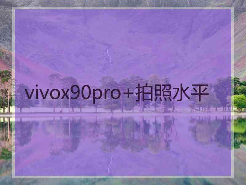 vivox90pro+拍照水平