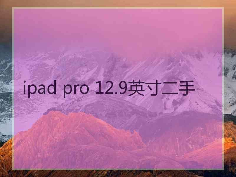 ipad pro 12.9英寸二手