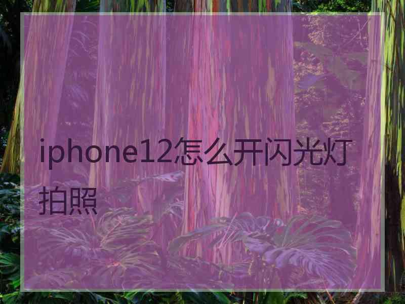 iphone12怎么开闪光灯拍照