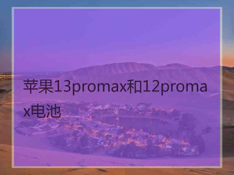 苹果13promax和12promax电池