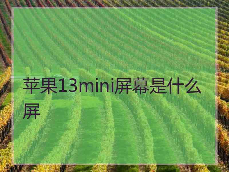 苹果13mini屏幕是什么屏