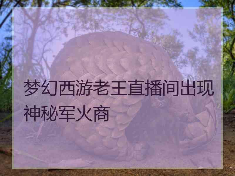 梦幻西游老王直播间出现神秘军火商