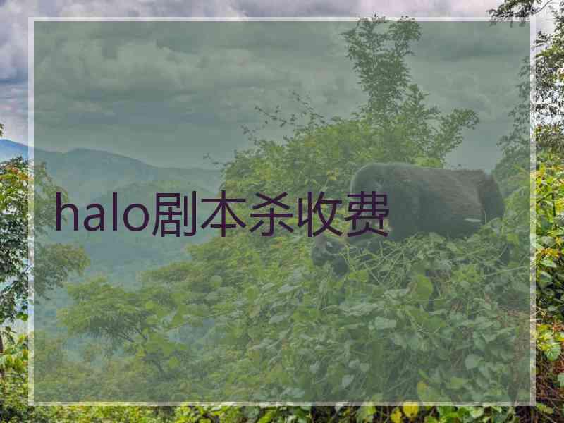 halo剧本杀收费