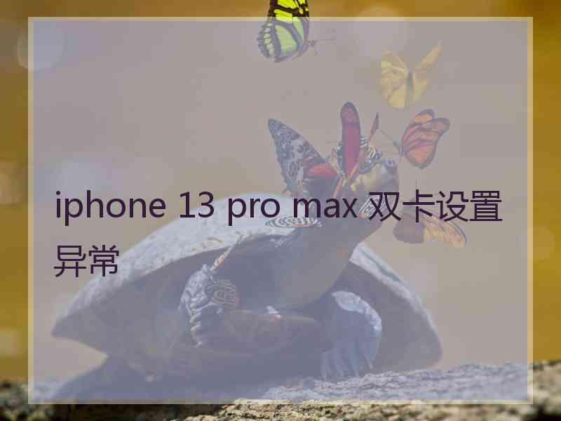 iphone 13 pro max 双卡设置异常