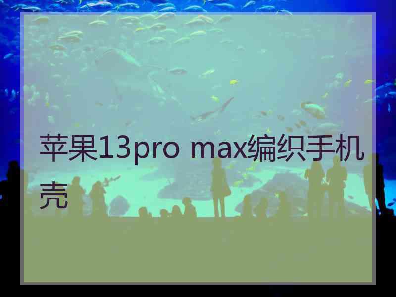 苹果13pro max编织手机壳