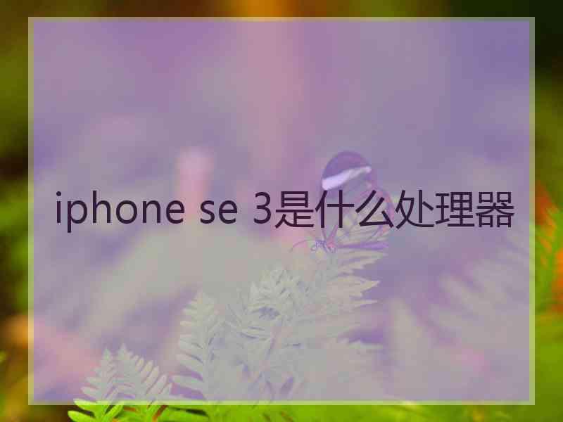 iphone se 3是什么处理器