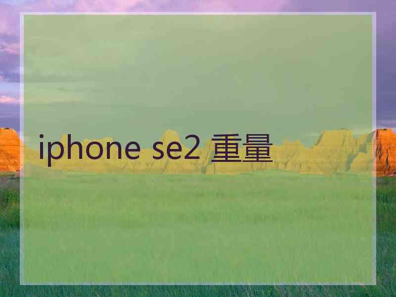 iphone se2 重量