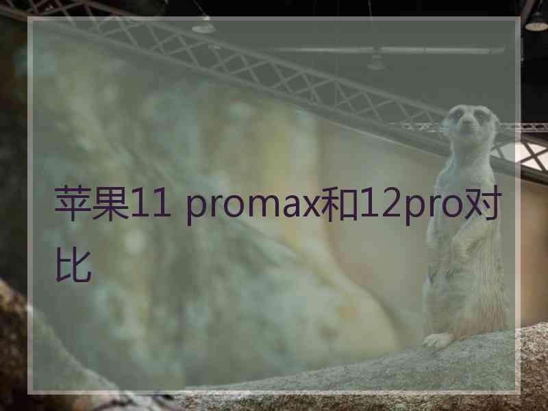 苹果11 promax和12pro对比