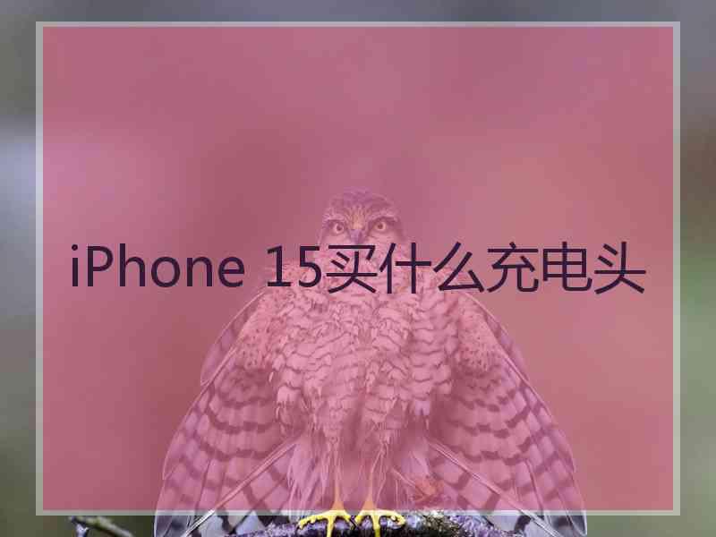 iPhone 15买什么充电头